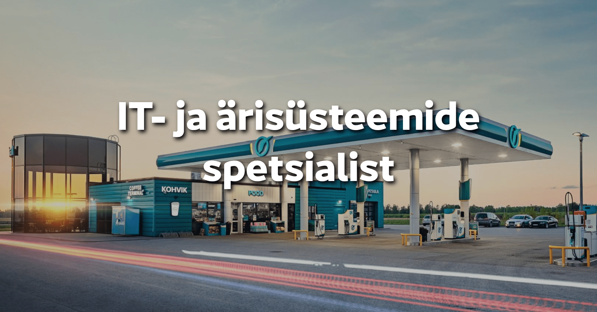 IT- ja ärisüsteemide spetsialist